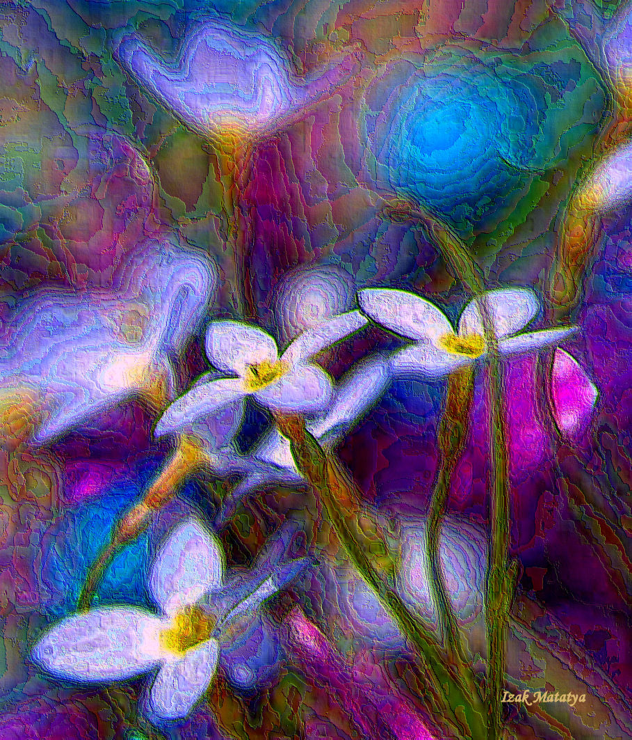 Digital Contemporary Art by Izak Matatya - 11546 - Original Jpeg Image
