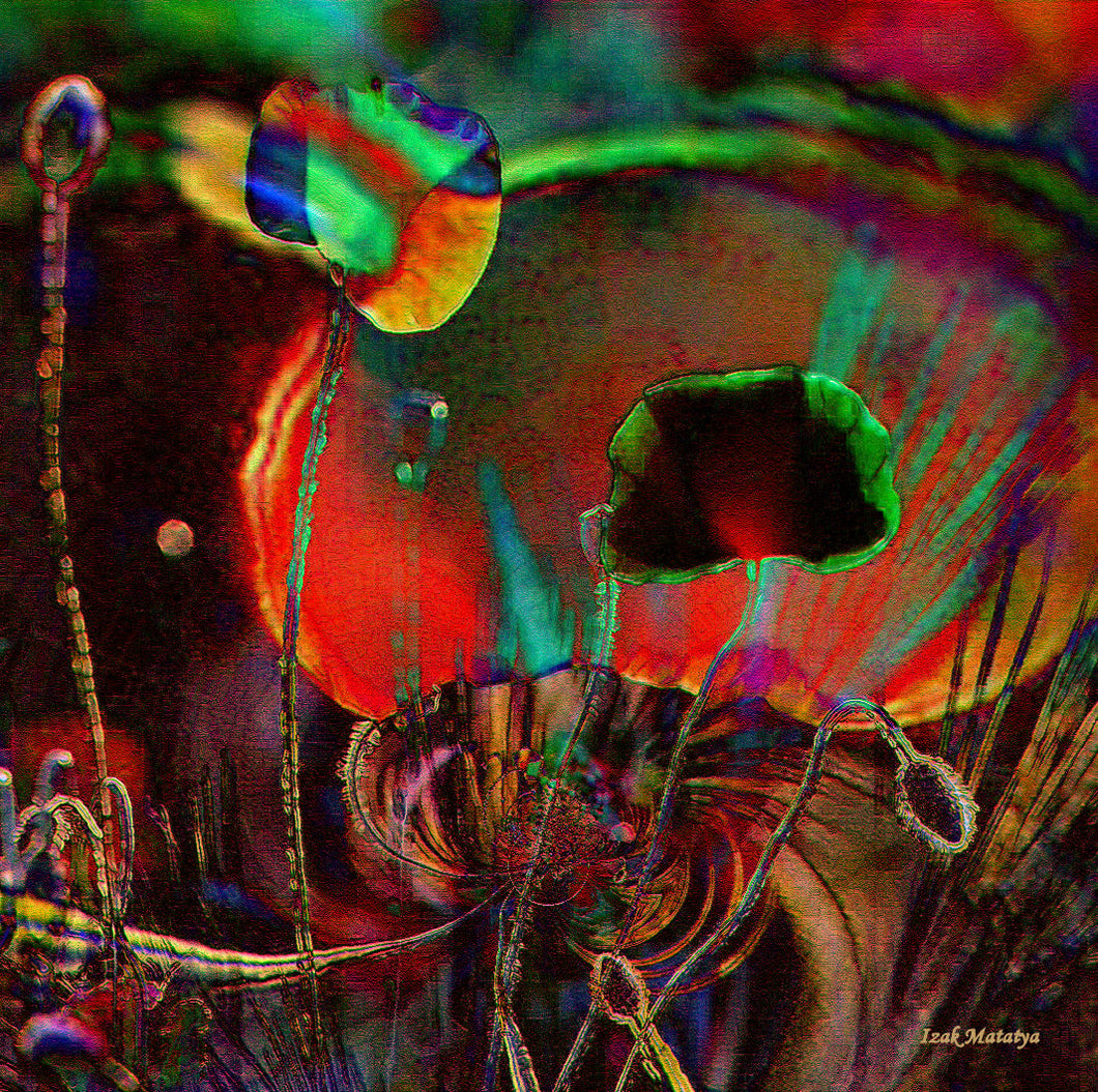 Digital Contemporary Art by Izak Matatya - 11639 - Original Jpeg Image