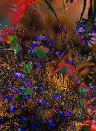 Digital Contemporary Art by Izak Matatya - 11644 - Original Jpeg Image