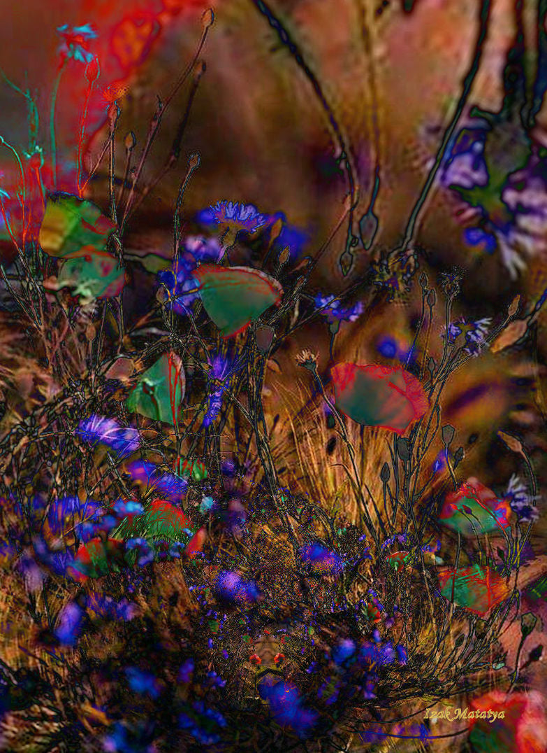 Digital Contemporary Art by Izak Matatya - 11644 - Original Jpeg Image