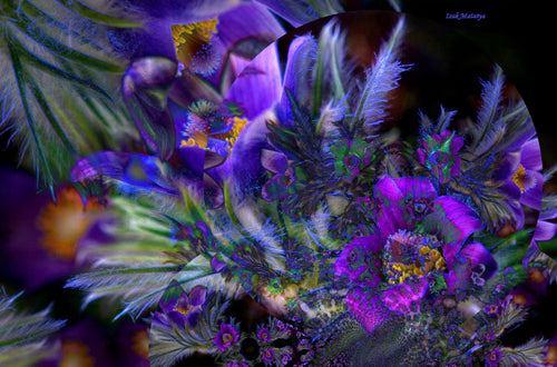 Digital Contemporary Art by Izak Matatya - 11667 - Original Jpeg Image