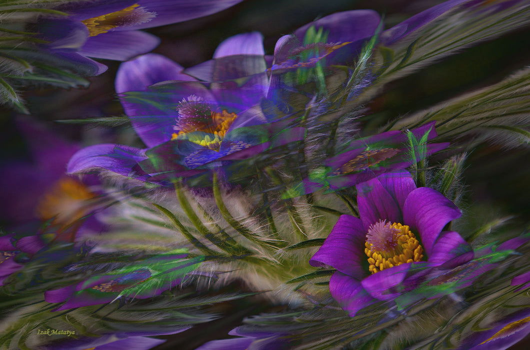 Digital Contemporary Art by Izak Matatya - 11669 - Original Jpeg Image