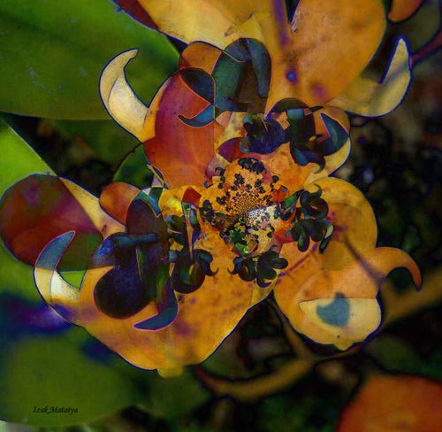 Digital Contemporary Art by Izak Matatya - 11674 - Original Jpeg Image