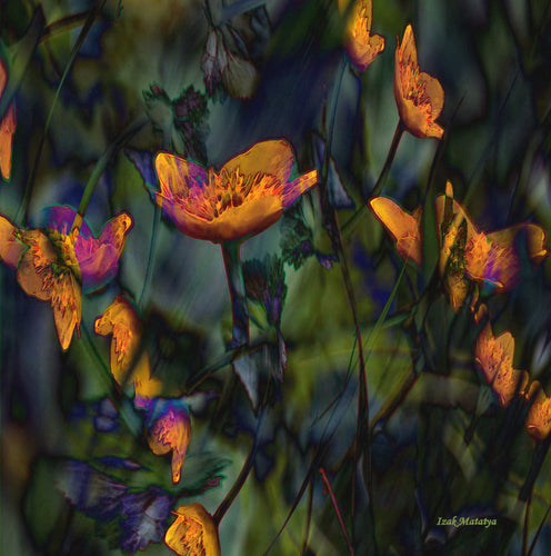 Digital Contemporary Art by Izak Matatya - 11706 - Original Jpeg Image