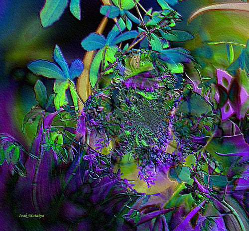 Digital Contemporary Art by Izak Matatya - 12014 - Original Jpeg Image