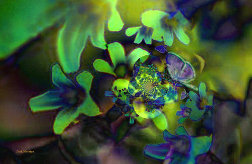 Digital Contemporary Art by Izak Matatya - 12015 - Original Jpeg Image