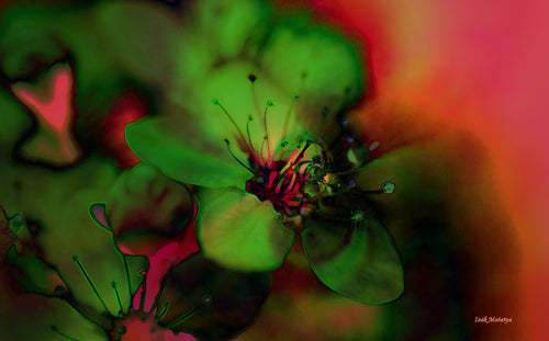 Digital Contemporary Art by Izak Matatya - 12023 - Original Jpeg Image