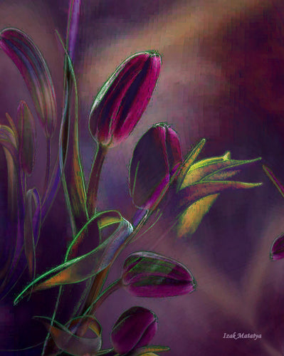Digital Contemporary Art by Izak Matatya - 12268 - Original Jpeg Image