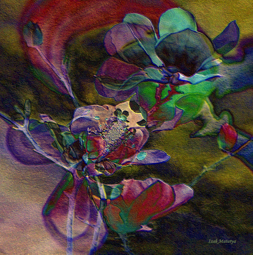 Digital Contemporary Art by Izak Matatya - 12658 - Original Jpeg Image