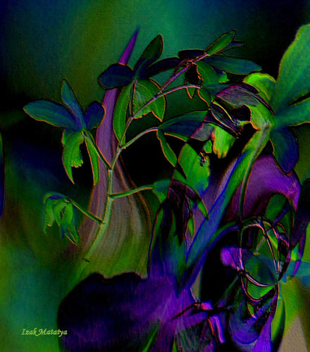 Digital Contemporary Art by Izak Matatya - 13031 - Original Jpeg Image