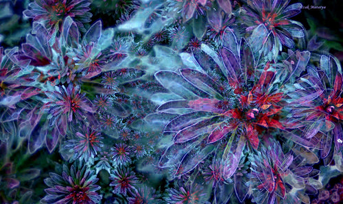 Digital Contemporary Art by Izak Matatya - 8113 - Original Jpeg Image