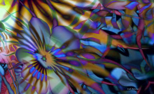 Digital Contemporary Art by Izak Matatya - 9392 - Original Jpeg Image