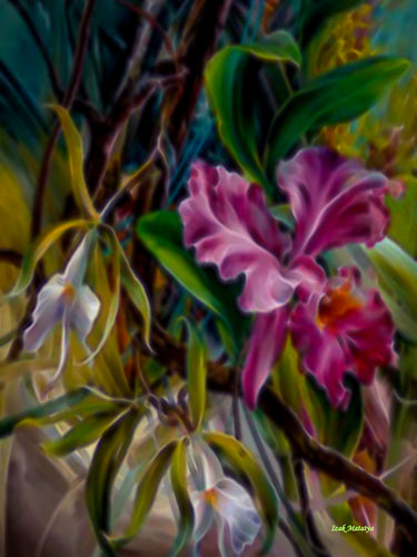 Digital Contemporary Art by Izak Matatya - 9806 - Original Jpeg Image